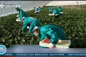 保障农产品质量安全！“治违禁、控药残、促提升”三年行动启动视频封面