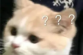 路见不平一声吼！这些明星们都曾见义勇为图片
