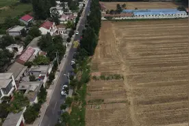 麦收侧记丨微山湖上 铁道游击队战斗过的地方 迎来新一年的丰收图片