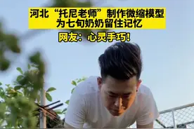 河北“托尼老师”制微缩模型复原儿时院落，为七旬奶奶留住记忆图片
