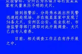 四川绵阳警方：一村民家中发现56只不明来历犬只，多部门开展调查图片
