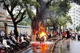场面骇人！柳州街头电驴秒变火球，座包下传异响…图片
