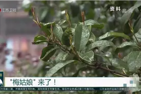 江苏正式进入梅雨季节！“入梅日”较常年略早，雨带南北摆动较大视频封面