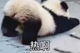 车子突然冒烟怎么办？三分钟迅速处理，关键时刻能救命图片