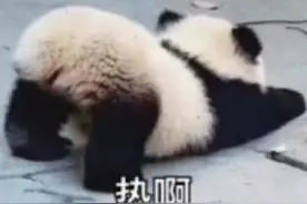 车子突然冒烟怎么办？三分钟迅速处理，关键时刻能救命图片