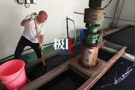 影像｜“调”皮蛋，挑皮蛋图片