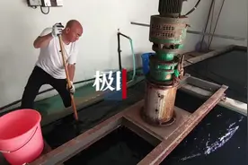 影像｜“调”皮蛋，挑皮蛋图片