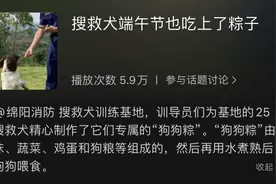 独家定制“狗狗粽”！搜救犬过粽子节，“蓝朋友”为小伙伴定制狗粮粽图片