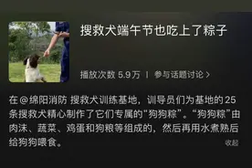 独家定制“狗狗粽”！搜救犬过粽子节，“蓝朋友”为小伙伴定制狗粮粽图片