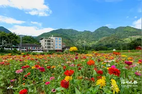 溪源村：古寨焕新 山林生金图片