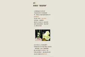 这些关于花的秘密，你知道多少？图片