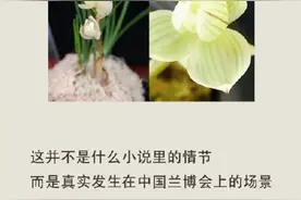 这些关于花的秘密，你知道多少？图片