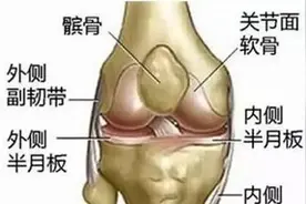 跑步疼、蹦跳疼、上下楼梯疼，膝盖“动不动就疼”咋回事？图片