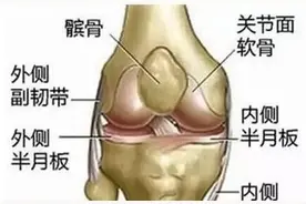 跑步疼、蹦跳疼、上下楼梯疼，膝盖“动不动就疼”咋回事？图片