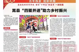 洛阳篇丨嵩县“四驱并进”助力乡村振兴图片