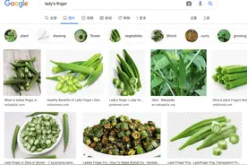 想不到“秋葵”的英语这么吓人！还敢吃么？图片
