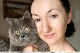 国外一流浪猫因长了张“惊恐脸”走红网络图片