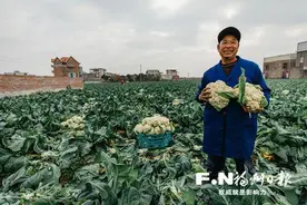 长乐鹤上镇：红色引擎赋能乡村振兴图片