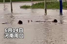暴雨过后熊孩子躺水中泡澡，网友：只要心中有海，哪里都是马尔代夫图片