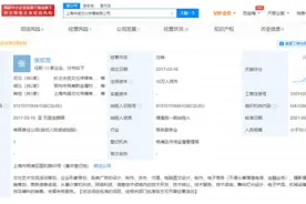 王者荣耀主播张大仙公司注销图片