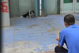 向不文明现象说“不”图片