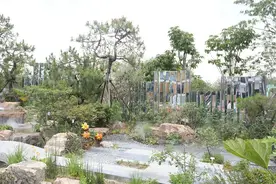 花博会这十座“世界级”花园，等你来打卡图片