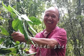 母亲双腿瘫痪，北流男子搬回深山老家当起“全职陪护”图片