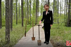 燕赵追梦人｜三把植苗锹解析塞罕坝科技兴林密码图片