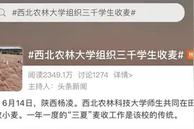 3000多名大学生收麦子被指作秀？回应来了图片