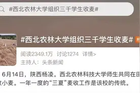 3000多名大学生收小麦被指作秀，网友：你在教农大做事？图片