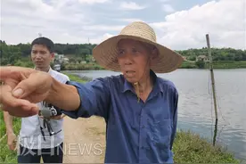 探访“神十二”航天员汤洪波老家：七旬老父正在烈日下喂鱼饲料，母亲在收菜籽图片
