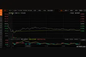 调查｜杭可科技痛失4.8亿大单背后：标的为锂电池后处理产品 曾与宁德新能源有合作理念分歧图片
