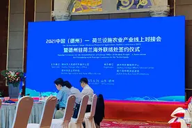 中国（德州）—荷兰设施农业产业线上对接会举行 德州驻荷兰海外联络处签约图片