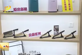 阳江十八子集团：诚信经营 行稳致远图片