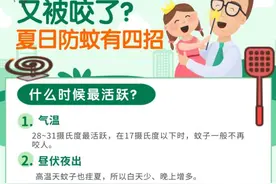 又被蚊子咬了？夏日防蚊试试这四招图片