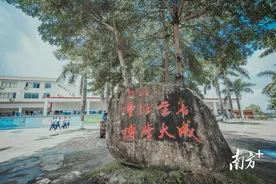 4所公立学校将投用，博罗加速办好教育实事图片