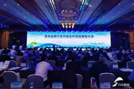 ​青岛自贸片区开放合作项目落地大会召开 48个重点项目落户青岛自贸片区图片