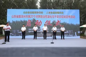 绿进沙退，山东森林覆盖率提高到近20%图片