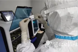 核酸检测结果是这样出炉的图片