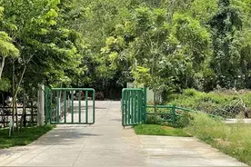揭秘北迁象群的“神秘老家”西双版纳人象共处现状如何？图片