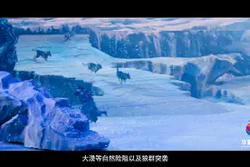 惊悚！狼群从舞台冲向观众席！西安一剧院实景演出引争议，剧院方：不是狼，是犬类图片