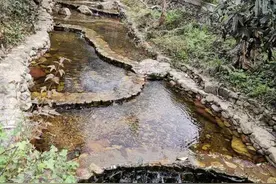大瑶山“两山理论”的生动实践——广西金秀瑶族自治县推动绿色发展观察图片