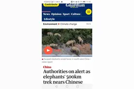 云南亚洲象群北迁，国际舆论说了啥？图片