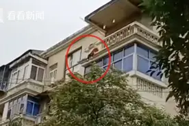 24秒冲上五楼！看见老人坐阳台外，他们合力救下图片