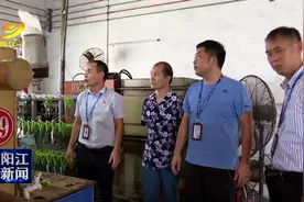 阳江市生态环境局现场督导生态环境保护工作视频封面
