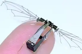 美空军研制像鸟或昆虫可扇动翅膀的微型无人机，用于战区监视图片