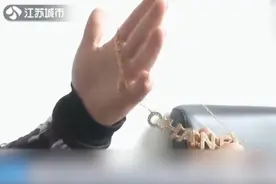 男子网上买假香奈儿项链送女友，牵出千万售假案视频封面