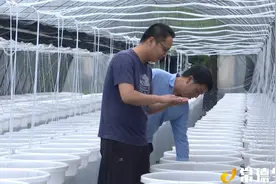 常德市桃源县黄石镇：护一库碧水 富一方百姓图片