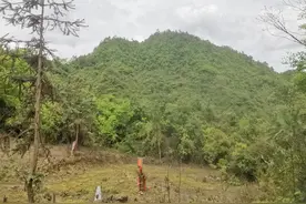 “奋斗百年路，启航新征程”看宣汉④：88年前宣汉的这场战役 1000多名烈士仅两人留下了名字图片