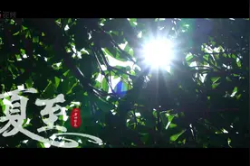 夏至，听一曲夏日协奏曲，静待疫散花开图片